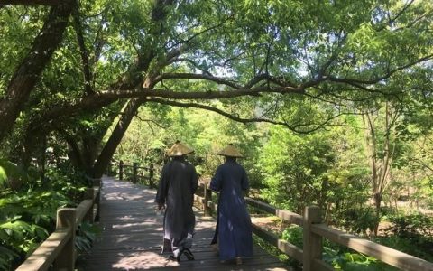 脸皮越厚的人越容易取得成功(事实证明脸皮厚是最好的选择)