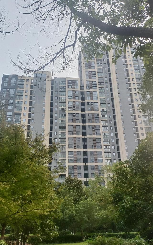 百合的功能作用有哪些？其养生保健应用特色有什么？
