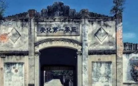 中茶黑茶和白沙溪黑茶哪个比较好