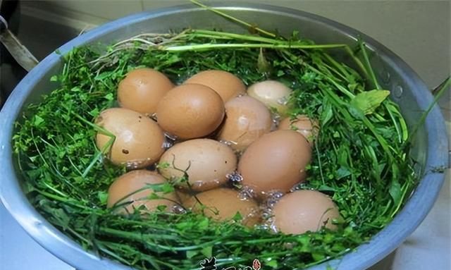 荠菜煮鸡蛋治头痛吗？提醒：荠菜煮鸡蛋，或会对身体有6大好处