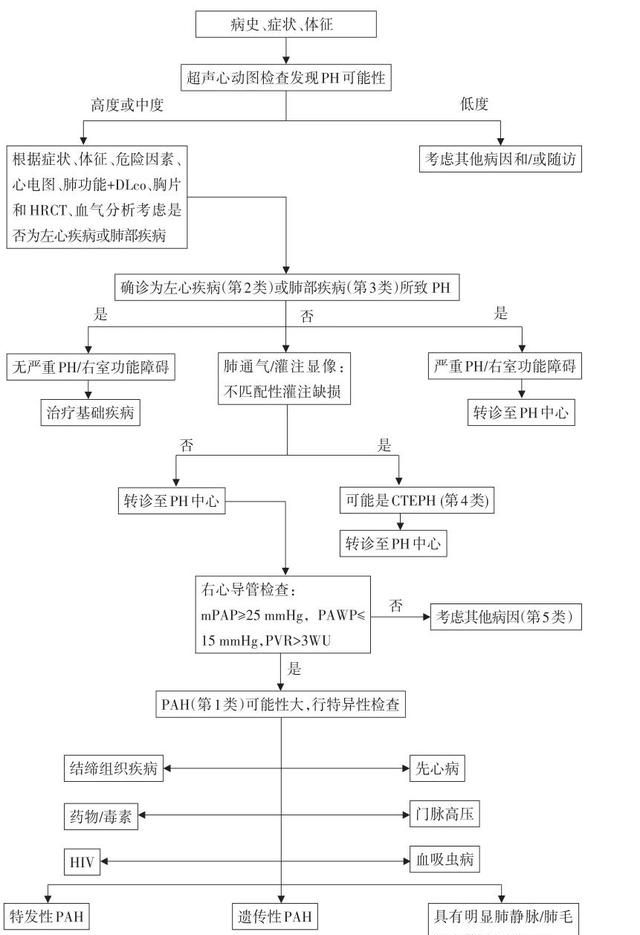 2021中国肺动脉高压诊断与治疗指南发布！丨指南共识