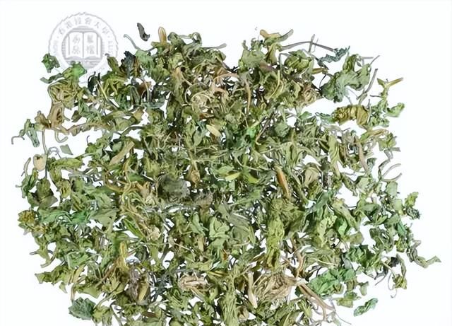 每日一味抗癌中药——紫花地丁，清热解毒，这个野菜您一定见过