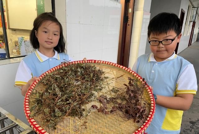 疯狂！每年吃掉100吨蝎子，多地已无蝎可捉，暴利下藏着多少隐忧