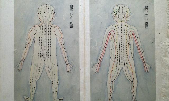 人体经络的作用