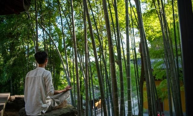 竹子的风水作用 家里养竹子风水上有什么讲究