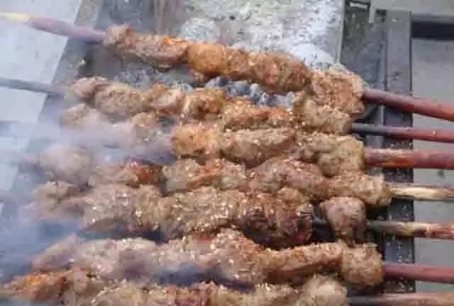 新疆人烧烤用的红柳枝有几种,红柳枝烧烤有什么好处图1