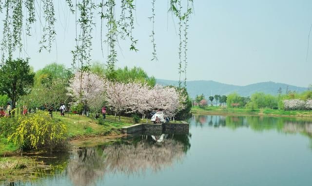 青田石溪乡哪里好玩(青田石溪乡旅游攻略)图8