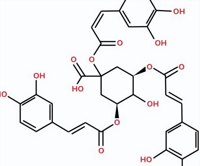 中药界的“抗生素”，金银花搭配煮水，消炎止痛，各种炎症皆可用