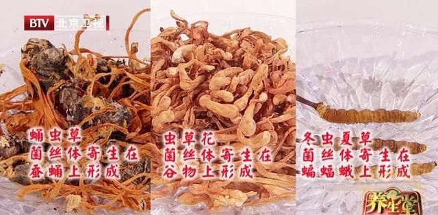 最强补肾佳品！冬天这样补肾，固精元、养五脏，健康过冬！