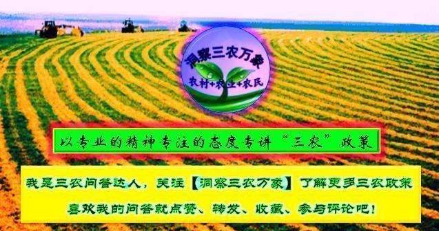 种植百花果的技术要领是什么呢(种植的百香果怎样才叫熟)图6