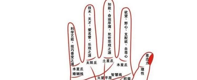 掌纹的秘密全图解的含义介绍