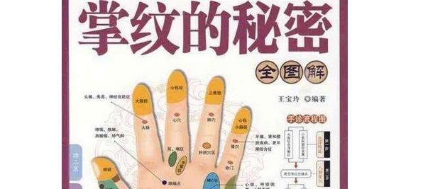 掌纹的秘密全图解的含义介绍