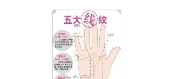 掌纹的秘密全图解的含义介绍