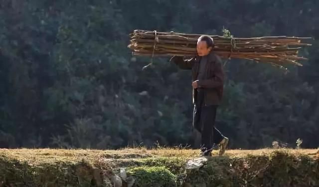 故宫博物院典藏秘方，229年历史，轻轻一抹，舒筋活络