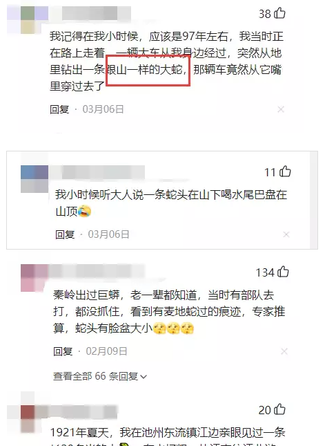 世界上最大的蛇有多大？老人所说的“秦岭盘山巨蟒”究竟有多大？