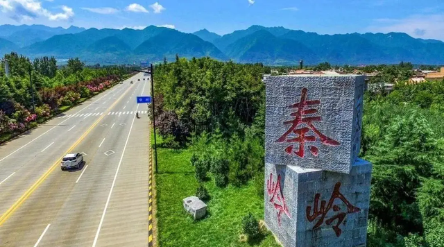 世界上最大的蛇有多大？老人所说的“秦岭盘山巨蟒”究竟有多大？