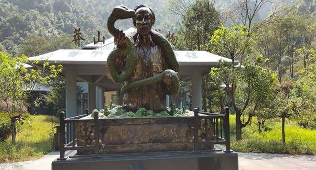 世界上最大的蛇有多大？老人所说的“秦岭盘山巨蟒”究竟有多大？
