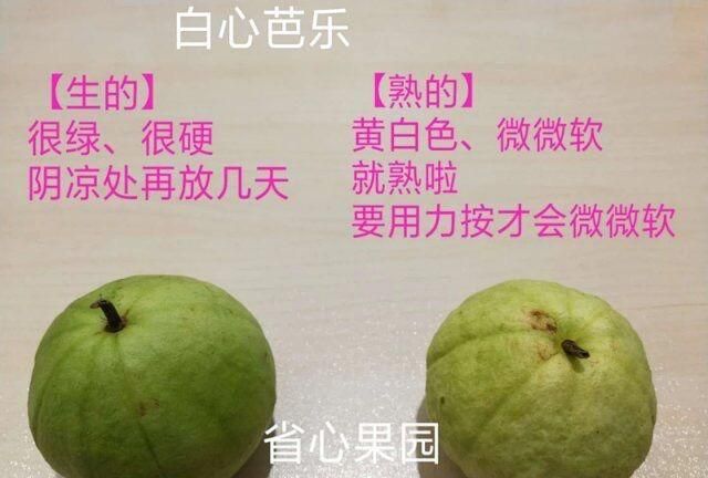 芭乐什么品种最好吃,芭乐哪个品种好吃图6
