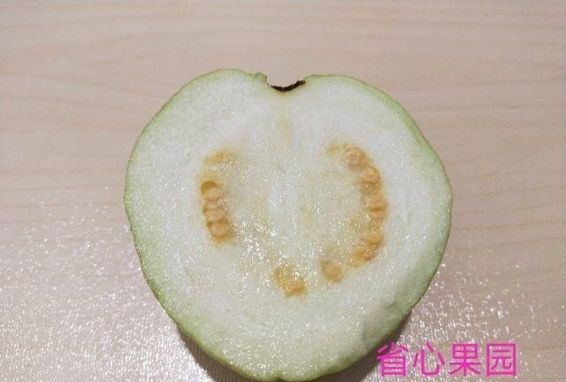 芭乐什么品种最好吃,芭乐哪个品种好吃图7