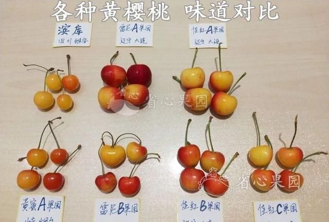 芭乐什么品种最好吃,芭乐哪个品种好吃图17
