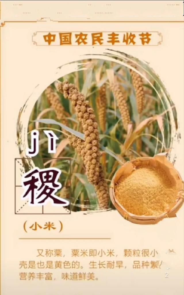 经常食用黑芝麻黑豆,真的可以使头发变黑吗图14