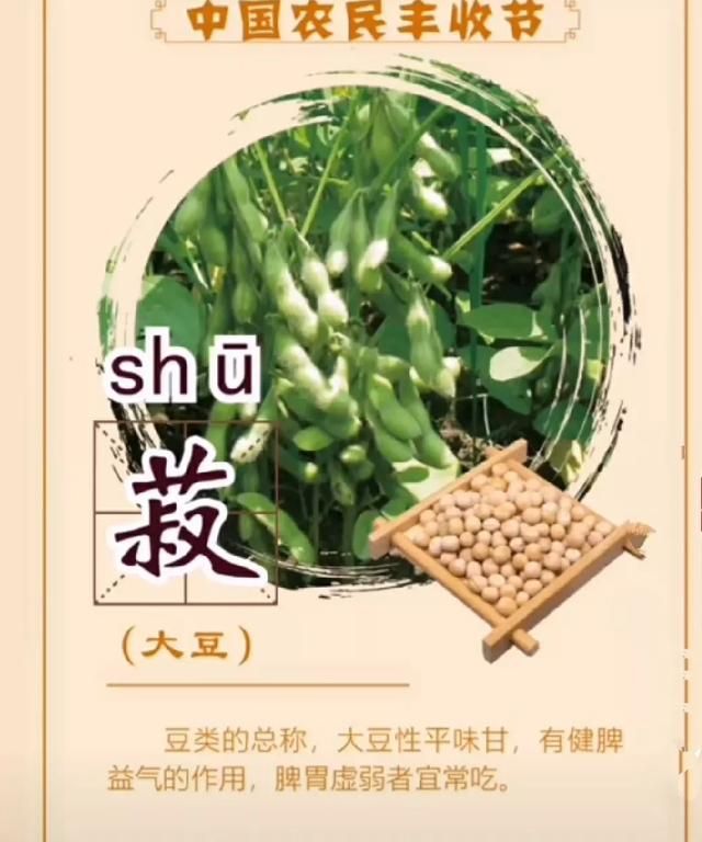 经常食用黑芝麻黑豆,真的可以使头发变黑吗图16