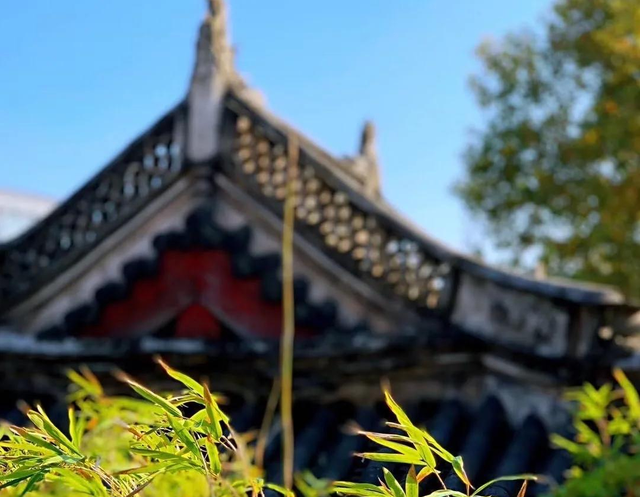 两味药去白发，一补一泄，药简方精