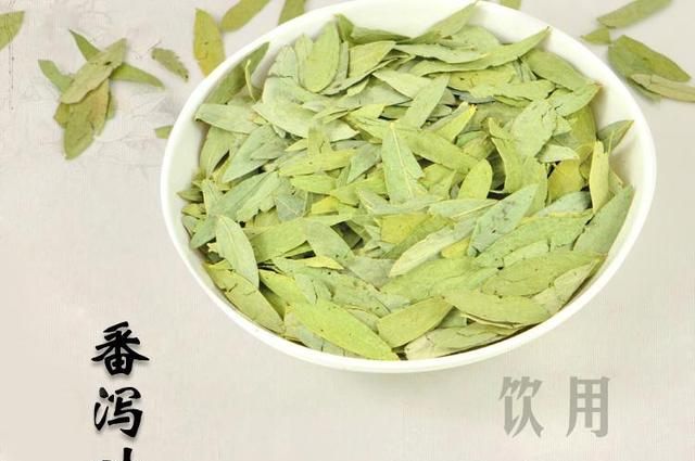 学习一味中药-番泻叶