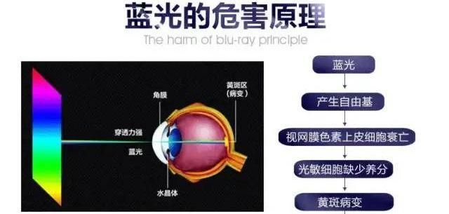 什么是蓝光眼镜(什么是蓝光led)图4