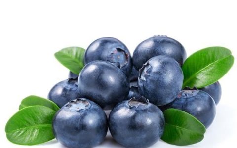 蓝莓有哪些功效小孩能多吃蓝莓吗