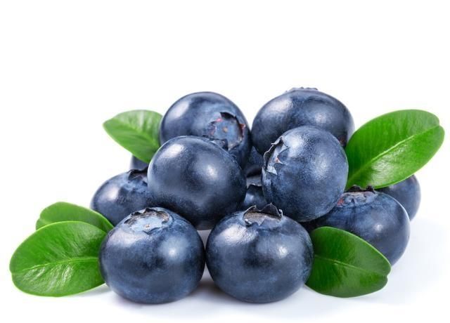 蓝莓有哪些功效小孩能多吃蓝莓吗图1