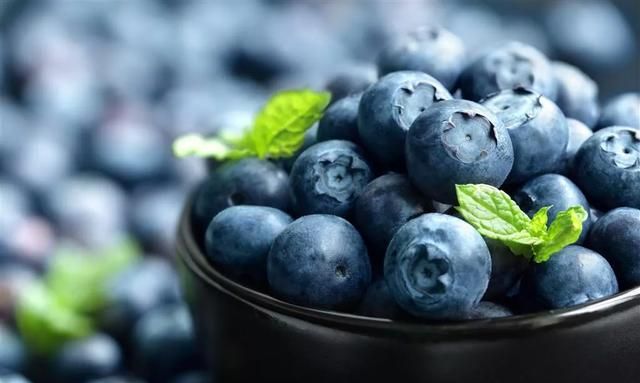 蓝莓有哪些功效小孩能多吃蓝莓吗图5