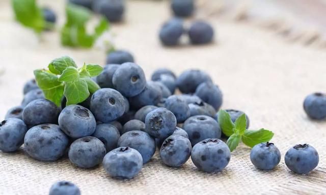 蓝莓有哪些功效小孩能多吃蓝莓吗图6
