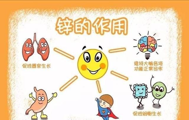 锌被称为“生命之素”，建议孩子多吃6种高锌食物，越吃越聪明