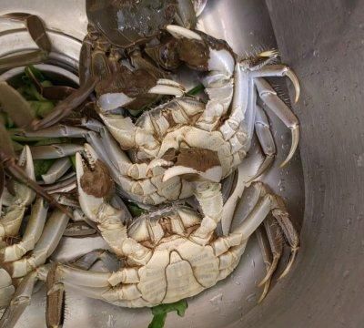 第一次做清蒸螃蟹就一致好评，从此做菜就有了自信