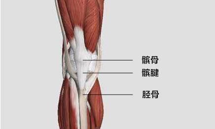如何减肥才是真正的减肥图4