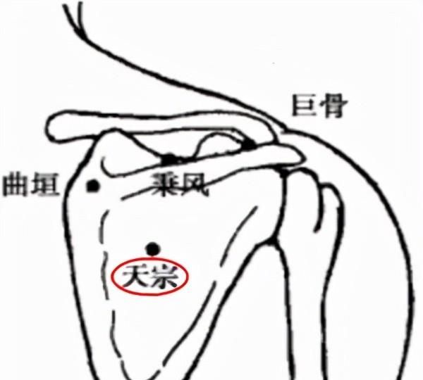 小肠经 | 治好“肩颈疾患”的大秘密，原来在这里