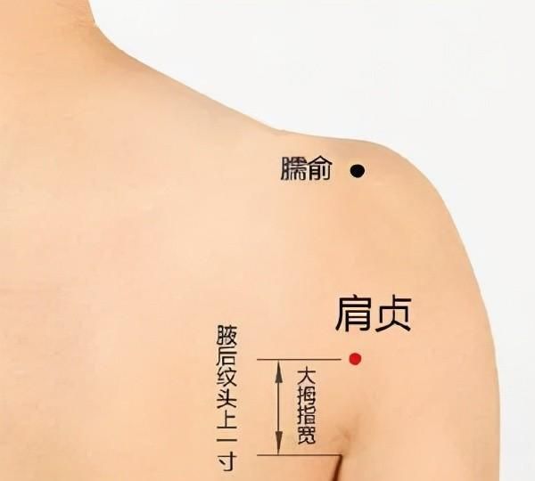 小肠经 | 治好“肩颈疾患”的大秘密，原来在这里