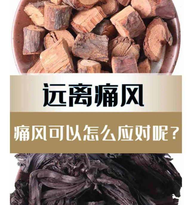 这味中药既能祛除下焦湿热，又能消肿解毒，对痛风、痛风石作用好
