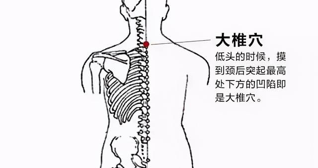 夏季宜养心，清心养神的食疗方来啦