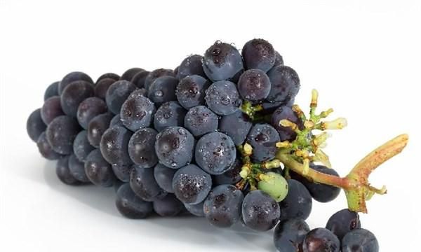 吃葡萄好处多，可巨峰、玫瑰香、马奶子，糖尿病患者适合吃哪种？