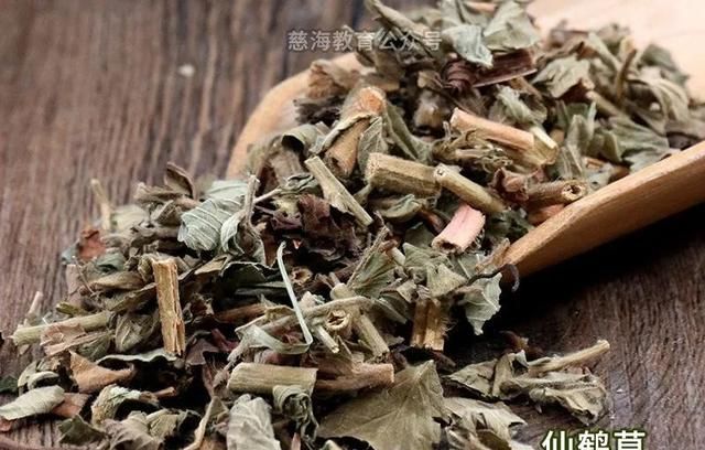 每天学习一味中药——仙鹤草