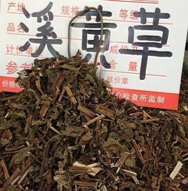 溪黄草是不是每个人都能喝,有什么功效图1