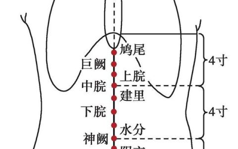 国医大师吕景山简介,吕景山对穴临床经验集