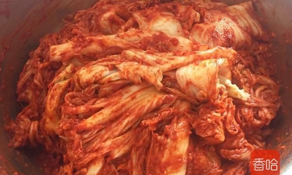 自制正宗韩国泡菜，告诉你配方比例，简单又方便，腌几天就能吃！