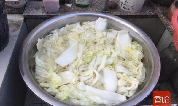 自制正宗韩国泡菜，告诉你配方比例，简单又方便，腌几天就能吃！