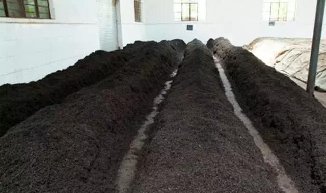 是什么原因让茶汤的颜色五花八门？