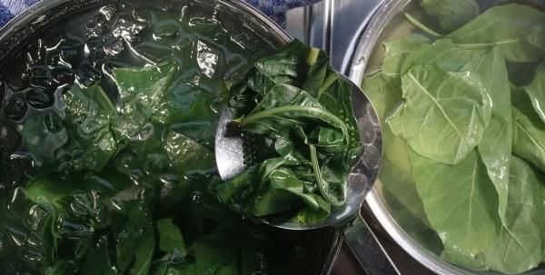 这菜不起眼，却是养肝明目的高手！三种吃法，美味又营养