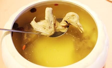 鸽子汤的营养功效是什么？教你做几款最有营养经典美味的鸽子汤