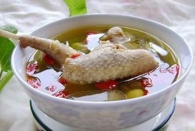 鸽子汤的营养功效是什么？教你做几款最有营养经典美味的鸽子汤